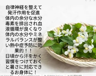 よもぎ蒸&オイルボディのお店aroma&wood〜アロマウッド〜所属・ハーブテントよもぎ蒸 aroma&woodのエステ・リラクイメージ