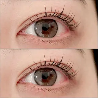 マツエク・マツパ Shugar by ecolua所属・🤍 南浦和徒歩5分 Asuka 💚のマツエク・マツパデザイン