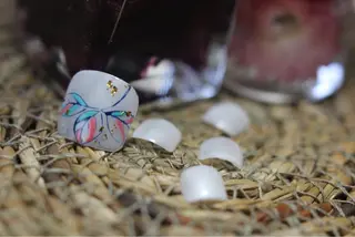 ネイル Negishi Akiのネイルデザイン