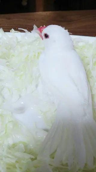 g*rossa高橋 くみこのエステ・リラクイメージ