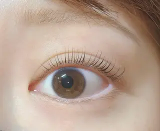 マツエク・マツパ fan.germe 副店長MIYABIのマツエク・マツパデザイン