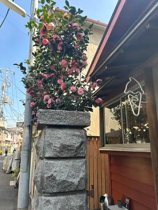 マツエク・マツパ アイブロウ GO TODAY SHAiRE SALON Vellmie店所属・吉祥寺kasumi 🌛eye/browのマツエク・マツパデザイン