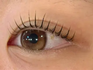 マツエク・マツパ OAK(オーク) 小倉店のマツエク・マツパデザイン