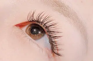 マツエク・マツパ FIRST SEAT 生田のマツエク・マツパデザイン