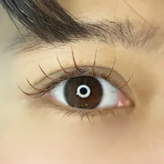 マツエク・マツパ PETALE所属・PETALE ペタルのマツエク・マツパデザイン