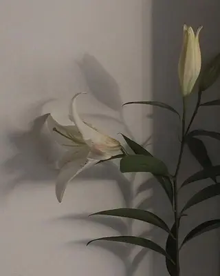 𝙔𝙪𝙪𝙠𝙖 .のマツエク・マツパデザイン