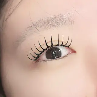 マツエク・マツパ cilmeiliシルメイリー所属・シルメイリーHARU /束感/韓国まつ毛のマツエク・マツパデザイン