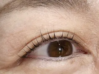 マツエク・マツパ 田中 貴子のマツエク・マツパデザイン