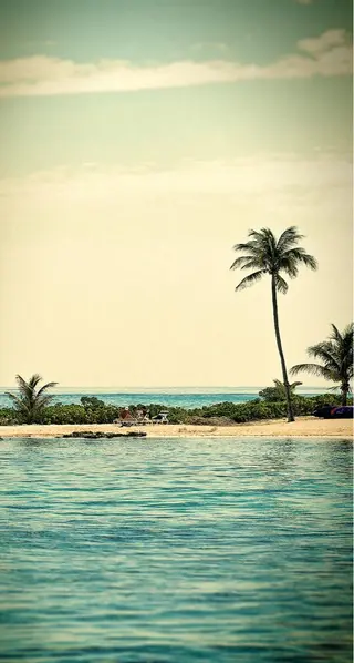 ロング カラー パーマ ヘアアレンジ メンズ キッズ ネイル マツエク・マツパ premier modelsのヘアスタイル