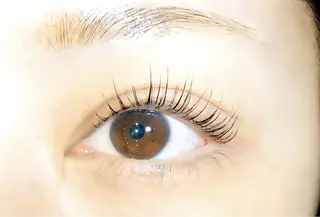 マツエク・マツパ Chisato🤍池 袋/マツパ/マツエクのマツエク・マツパデザイン