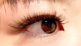 マツエク・マツパ Plume 逢坂のマツエク・マツパデザイン