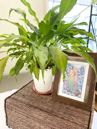 メナードフェイシャルサロンマオンデファーダ所属・メナードフェイシャル マオンデファーダのエステ・リラクイメージ