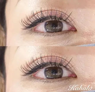 マツエク・マツパ Fujimoto 🦭⸝⋆꙳のマツエク・マツパデザイン