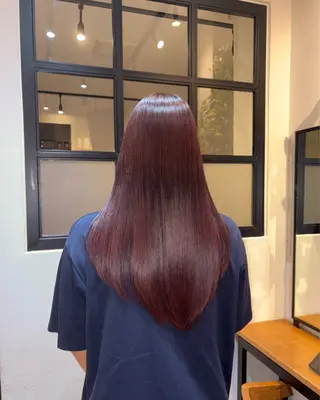 ロング カラー 🪽MiYU🪽 艶カラー⁎⁺˳✧のヘアスタイル