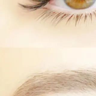 マツエク・マツパ eyelash- r🌹の眉毛・アイブロウイメージ