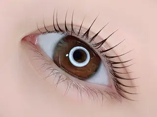 マツエク・マツパ eyeroom mira  恵比寿店所属・akiyama rukaのマツエク・マツパデザイン