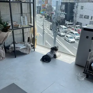 ネイル Chelice nailのネイルデザイン