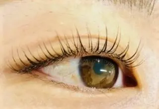 マツエク・マツパ Eyelash 予約受付スキンプロのマツエク・マツパデザイン