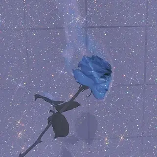 マツエク・マツパ usaginoo -ウサギノオ-所属・♡ usaginooのマツエク・マツパデザイン