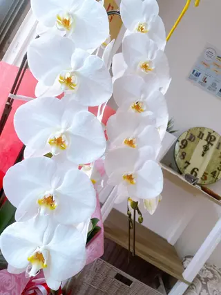 隠れ家サロン WAO!のエステ・リラクイメージ