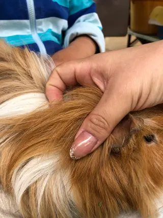 ネイル nanamin nail所属・眉サロン KE. 船橋日大前駅徒歩1分の眉毛・アイブロウイメージ