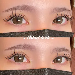 マツエク・マツパ Roy所属・🫧Roy心斎橋/ さだひさ🫧のマツエク・マツパデザイン