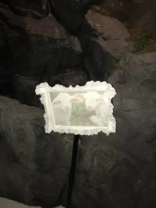 カラー ハイトーン/ハッシュ カット/senaのヘアスタイル