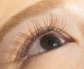 マツエク・マツパ Ai Quick 北千住🌿saitoの眉毛・アイブロウイメージ