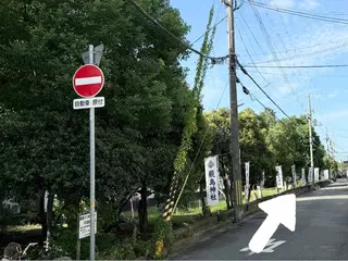 Riialash.所属・Riko .のマツエク・マツパデザイン