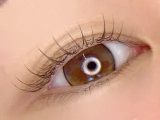 マツエク・マツパ tomte トムテのマツエク・マツパデザイン