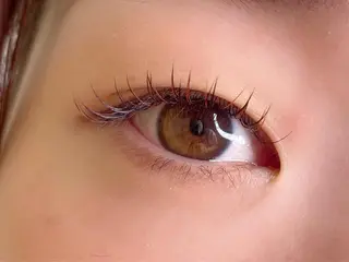 マツエク・マツパ Loto所属・Loto 曹(ソウ)のマツエク・マツパデザイン