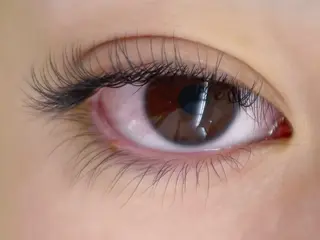 マツエク・マツパ Vivid 高橋のマツエク・マツパデザイン