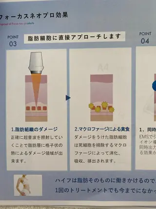 R E O T I A R A（レオティアラ）所属・高屋 昌子のその他イメージ