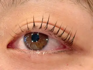 マツエク・マツパ OAK(オーク) 小倉店のマツエク・マツパデザイン