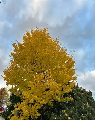 小顔×肌質改善サロン soin〔ソワン〕のエステ・リラクイメージ