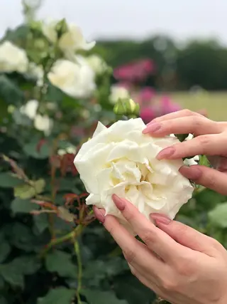 ネイル salon enu所属・salon enuのネイルデザイン