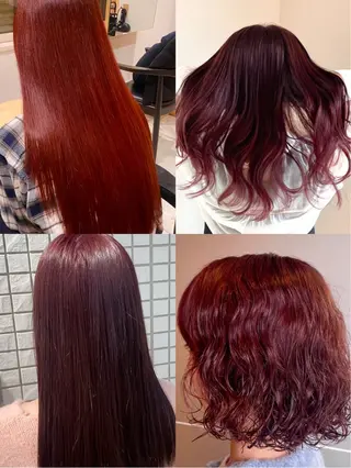 セミロング カラー 🕊️小顔カット 暖色系🍒/偉楓のヘアスタイル