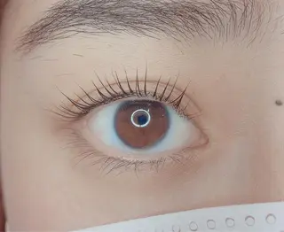 マツエク・マツパ TIARA池袋西口店 店長YASUKA💐のマツエク・マツパデザイン