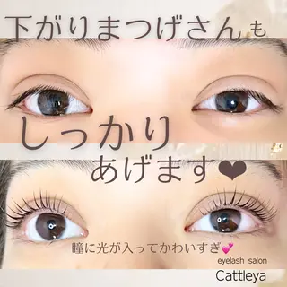 マツエク・マツパ Cattleya所属・morisaki ＊のマツエク・マツパデザイン