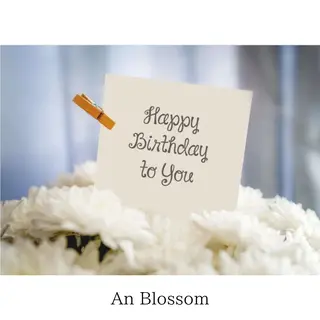 An Blossom 茅ヶ崎/室田 杏のエステ・リラクイメージ