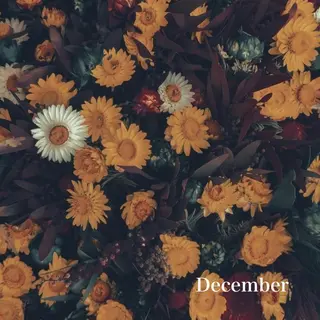 マツエク・マツパ 浦和駅近完全個室 Michikoのマツエク・マツパデザイン