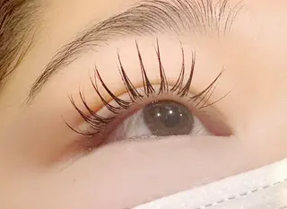 マツエク・マツパ Sylph 西宮店のマツエク・マツパデザイン