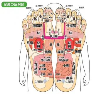 lupo エステ.ネイルのエステ・リラクイメージ