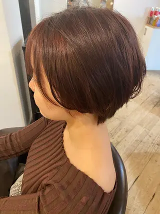 ショート 🐼加藤 佳穂🐾のヘアスタイル