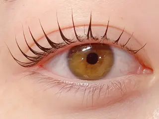 マツエク・マツパ ungu 直江のマツエク・マツパデザイン