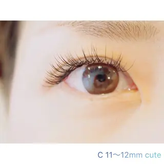 マツエク・マツパ beauce eyelash所属・Beauce / 無料モデル募集の眉毛・アイブロウイメージ