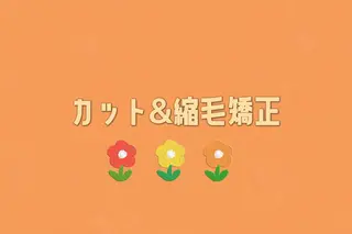 CROWN所属・矢端 しほみのヘアスタイル