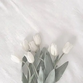 マツエク・マツパ ロコラッシュ新宿東口 井上のマツエク・マツパデザイン