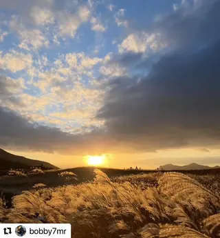 ミディアム カラー メンズ 🩷Eny terrace🩷のヘアスタイル