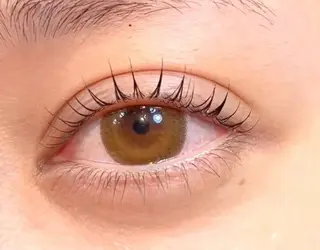 マツエク・マツパ roseo snow 錦糸町店のマツエク・マツパデザイン